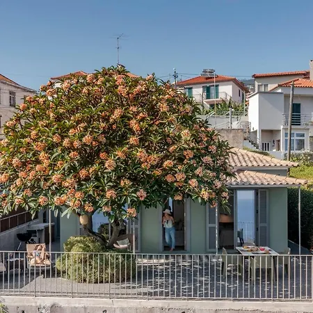 Lazareto Mar By An Island * Funchal (Madeira)